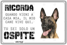 Cartello cane malinois usato  Vertemate con Minoprio