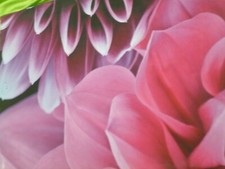 Bilder blumen 40 gebraucht kaufen  Barsinghausen