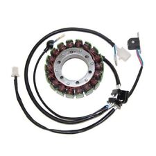 Electrosport statore alternato usato  Vobbia