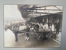 Edinburgh dumfries milk for sale  EDINBURGH