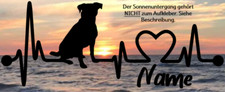 Aufkleber hund jack gebraucht kaufen  Munster