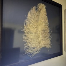 golden feather art framed for sale golden feather art framed for sale Alhambra