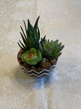 Desktop decor succulent for sale  Bloomsburg
