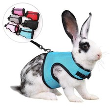 Rabbit harness leash for sale  BIRMINGHAM