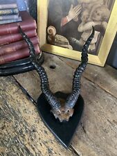 Antique victorian blackbuck for sale  WARE