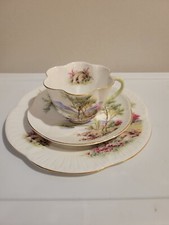 Shelley vintage english for sale  North Hills