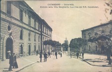 Ae261 cartolina catanzaro usato  Tramonti