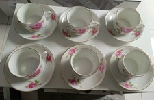 Schönwald porzellan kaffeetas gebraucht kaufen Schönwald porzellan kaffeetas gebraucht kaufen  Pirna, Dohma, Struppen