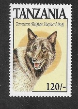 Tanzania dogs belgian for sale  Buffalo