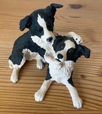 Pair border collie for sale  OLNEY