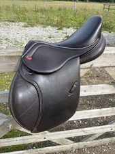 John whitaker pony for sale  STOCKPORT