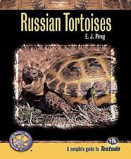 Russian tortoises complete for sale  Memphis