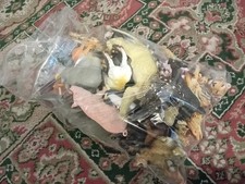 Bag toy animals for sale Bag toy animals for sale  WOODBRIDGE