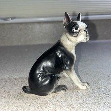 H377e boston terrier for sale  Seekonk