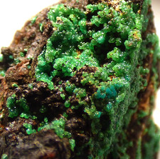 Cuproadamite azurite jean for sale  BLACKPOOL