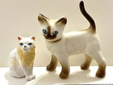 persian siamese cats for sale  San Diego