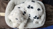 Schlafender spiel hund gebraucht kaufen  Aidlingen