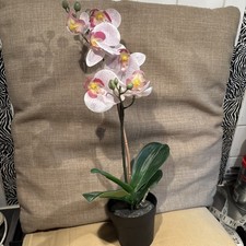 Ikea artificial orchid for sale  BOREHAMWOOD