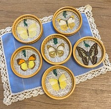 Vintage pressed butterfly for sale  Universal City