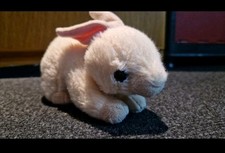 Creampuff beanie baby gebraucht kaufen  Brensbach