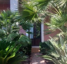 Casa vacanze affitto usato  Catania