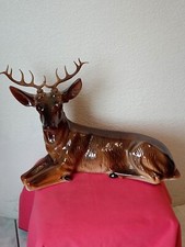 Biche cerf chevreuil d'occasion  Roanne