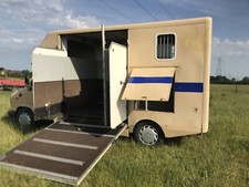 Fiat ducato horsebox for sale  KIDDERMINSTER
