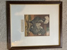 Chicken print frame for sale Chicken print frame for sale  OXFORD