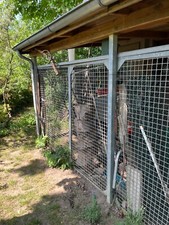 hundezwinger gebraucht kaufen hundezwinger gebraucht kaufen Hannover