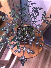 Pre order adenia for sale  Shipping to United Kingdom