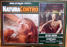 Fotobusta lobby card usato  Gioia del Colle