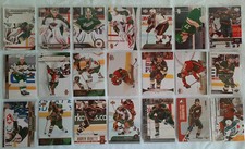 Minnesota wild 157 gebraucht kaufen  Berlin