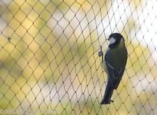 Bird netting 10m for sale  UK