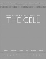 Usado, Molecular Biology of the Cell, Alberts, Bruce & Johnson, Alexander & Lewis, Juli comprar usado  Enviando para Brazil