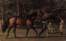 SARATOGA SPRINGS NY Champion Race Horse NASHUA Nat'l Museum of Racing PC comprar usado  Enviando para Brazil