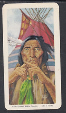 1974 indians canada for sale  WELLS