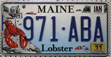 Maine usa nummernschild gebraucht kaufen  Euskirchen