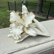 Lenox classic cattleya for sale  Farmington