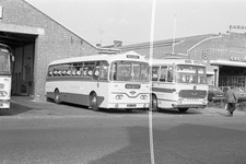 35mm wilts dorset for sale  SOMERTON