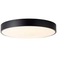 Brelight led decken gebraucht kaufen  Ribnitz-Damgarten