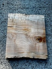Big leaf maple for sale  Camas