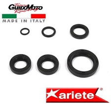 Paraolio motore moto usato  Mogliano Veneto
