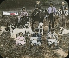 Heavy dog breeders d'occasion  Expédié en Belgium