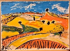 Alfredo fabbri senza usato  Siena