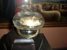 Paperweight glass dried for sale  Salem