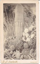 Hartwell cabinet photograph for sale  Tempe