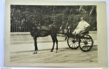 Carte photo élégente d'occasion  Vallon-en-Sully