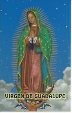 Nostra signora guadalupe usato  Forli
