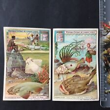 Liebig chromos poissons d'occasion  Nantes-