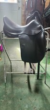 Amerigo vega dressage for sale  Cook Sta